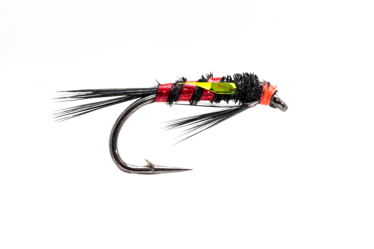 ANCLLO Assortimento di mosche per pesca a mosca, 12 pezzi ANCLLO Assortimento di mosche per pesca a mosca, 12 pezzi