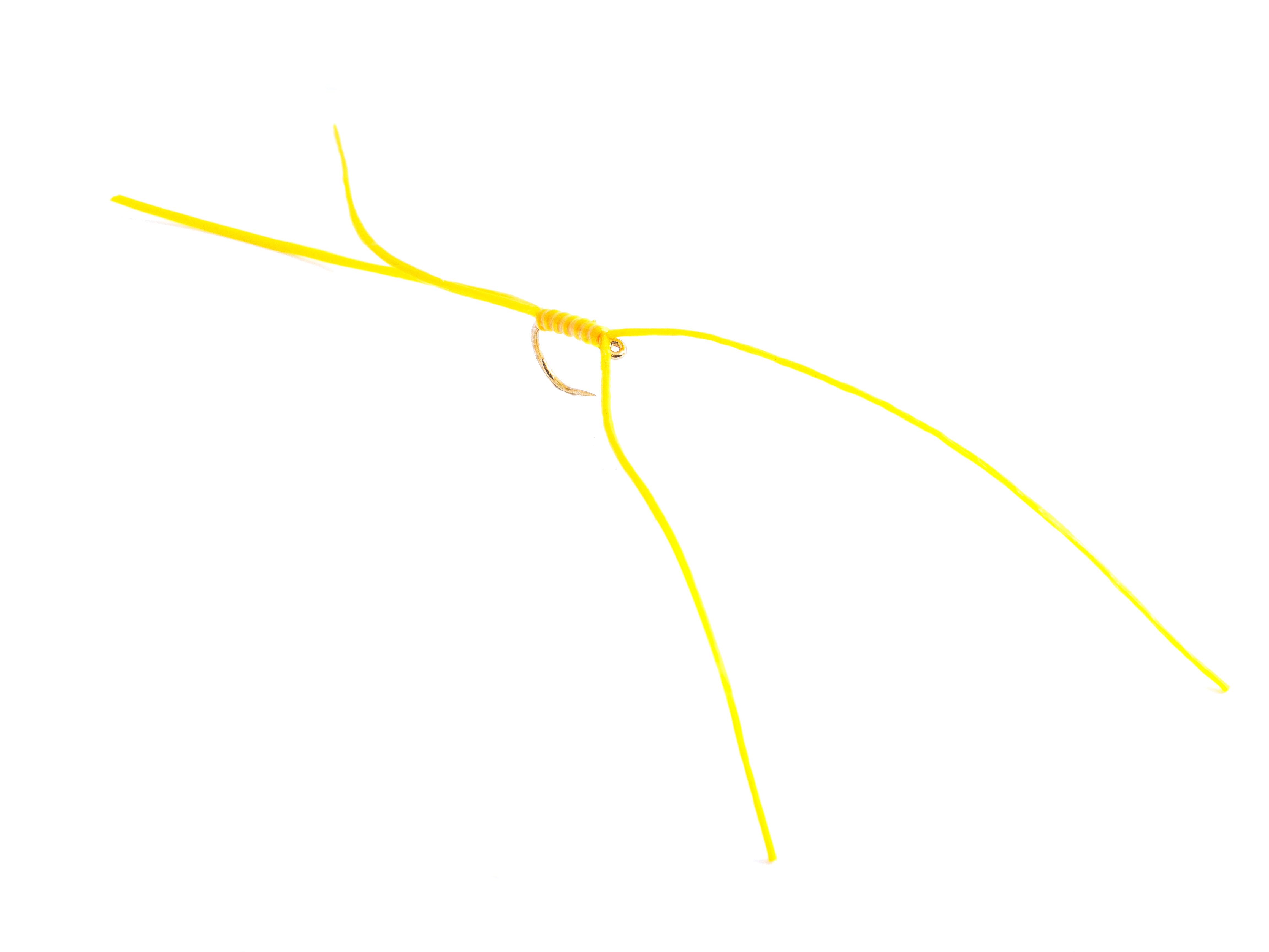 Amber Apps worm (Barbless)