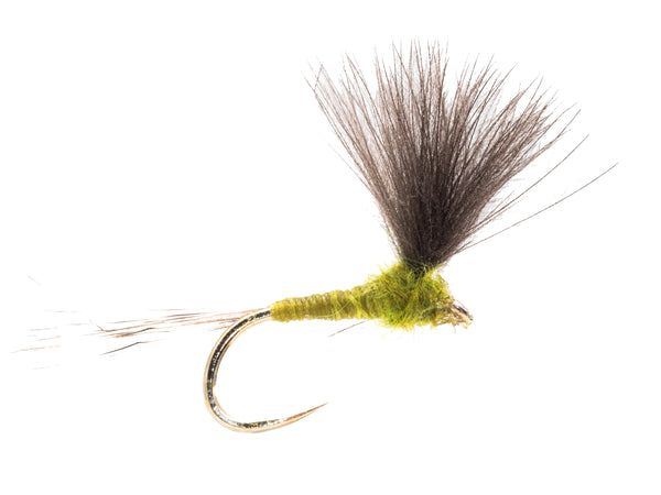 CDC Upwing olive