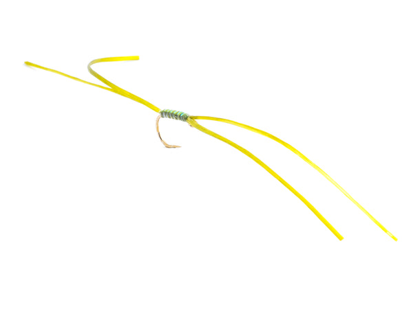 Olive Apps worm (Barbless)